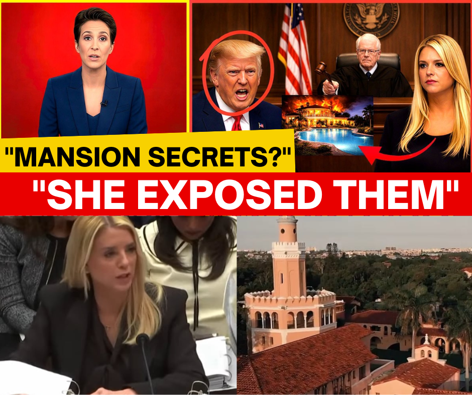 $127M Mansion, Secret Wires, and a DOJ Investigation That Vanished — What Is Really Going On With Pam Bondi?