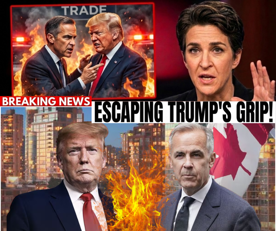 BREAKING: The Oslo Rebellion—How America's Closest Neighbors Just Built a $4 Trillion Fortress Against Washington