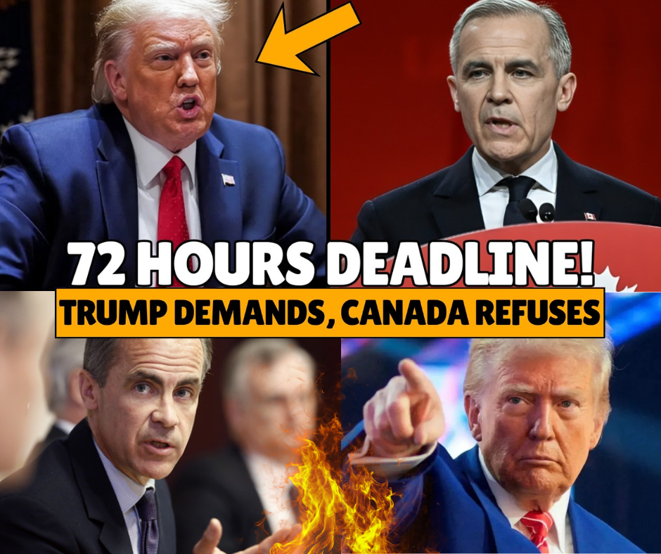 THE 72-HOUR BLUNDER: How a Three-Minute Canadian Defiance Hijacked White House Policy and Your Wallet