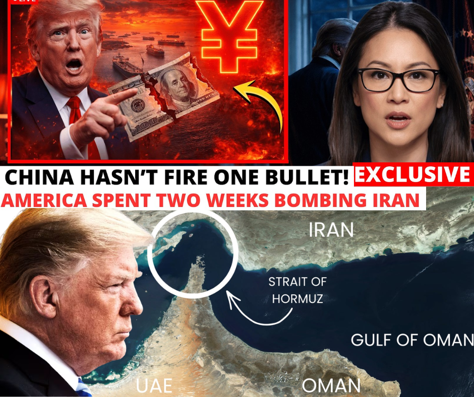 THE SILENT SIEGE: How a Single Sentence from Tehran is Quietly Bankrupting the American Empire