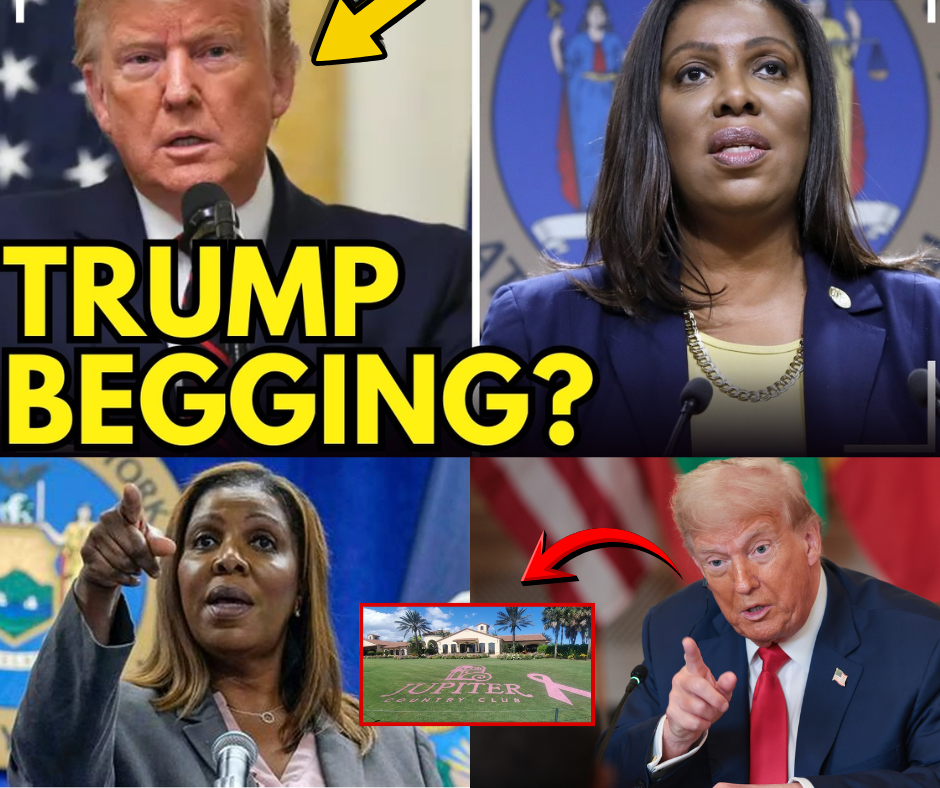 Breaking: Trump's $464 Million Bond Crisis Unmasks the Ultimate 'Other People's Money' Scheme