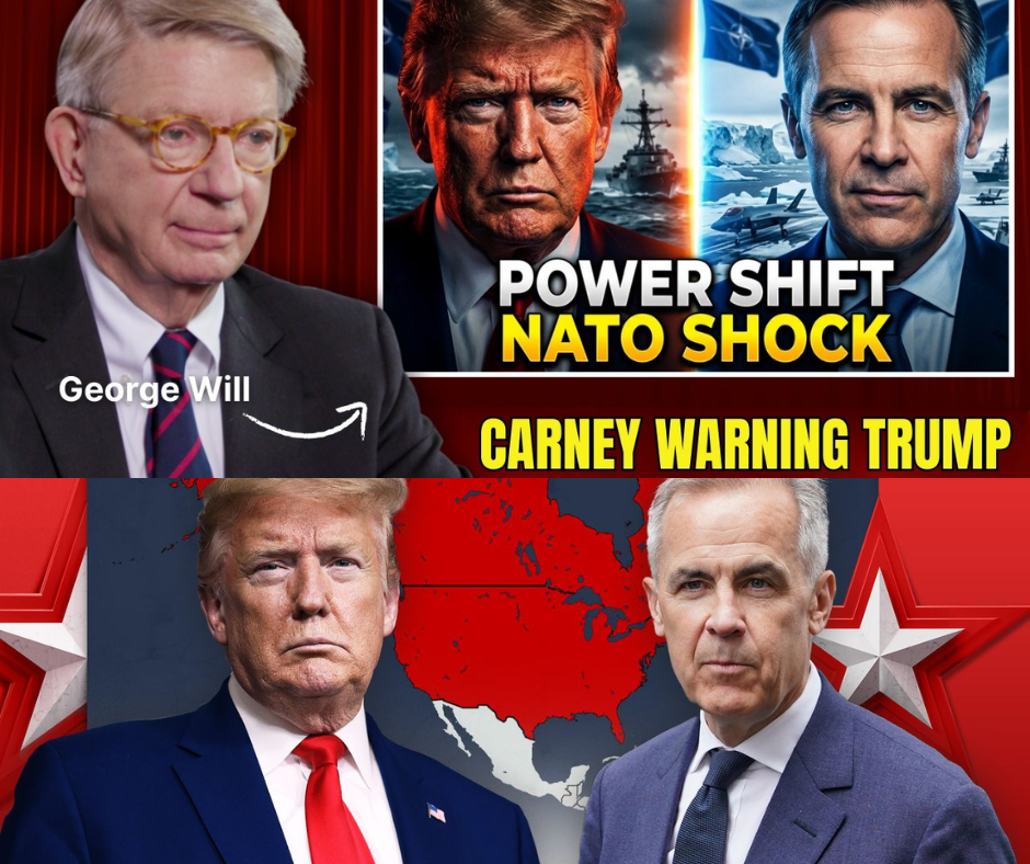 THE ARCTIC MUTINY: How Our Allies Just Quietly Seized the North—and What It Costs the American Taxpayer