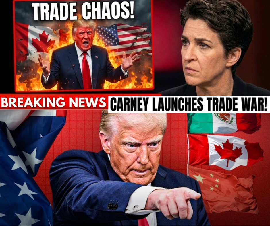 The End of American Hegemony: How Canada’s $800 Billion Masterstroke Just Broke Washington’s Grip on the Continent